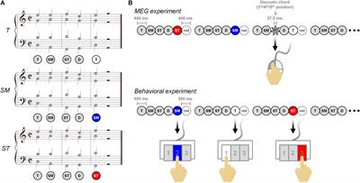 Dissociation of Connectivity for Syntactic Irregularity and Perceptual Ambiguity in Musical Chord Stimuli